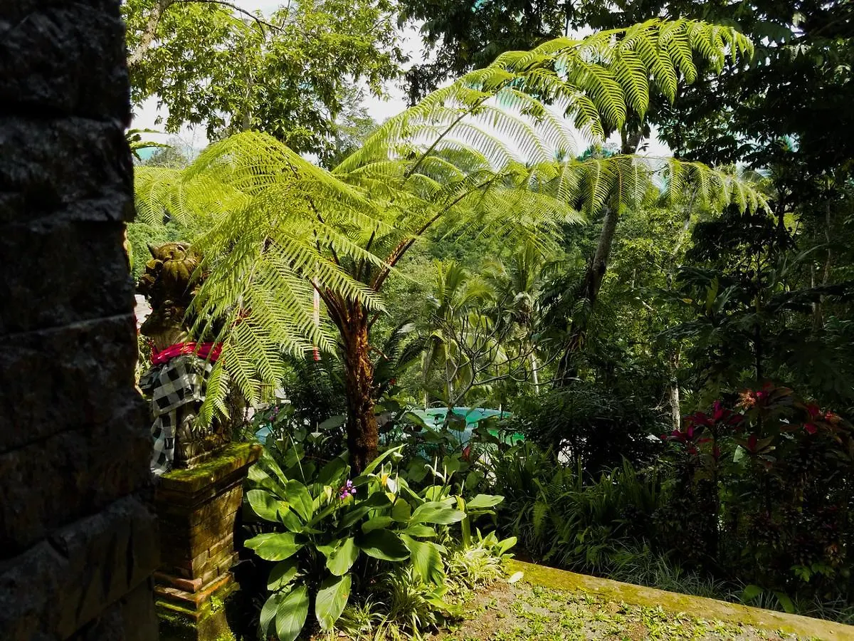 Angsoka Bungalow Ubud  Guest house