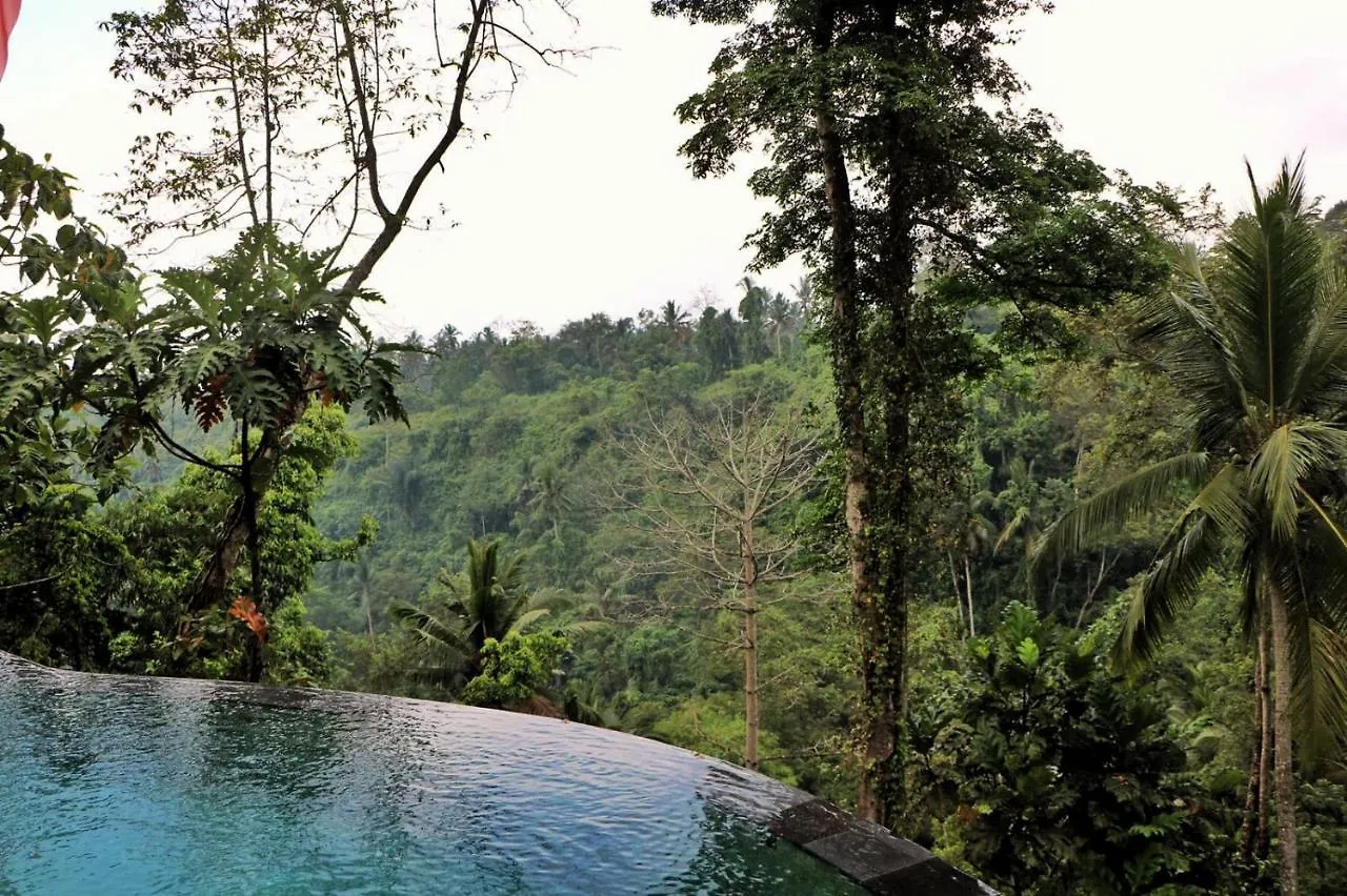 *** Guest house Angsoka Bungalow Ubud  Indonesia