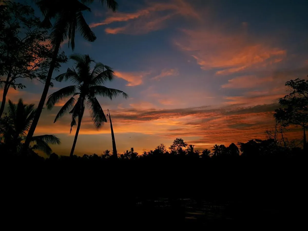 Angsoka Bungalow Ubud  3*, Ubud (Bali)