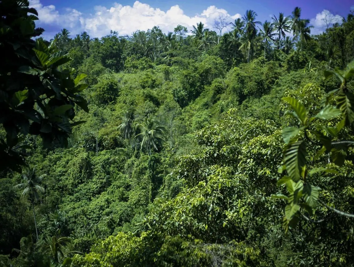 Angsoka Bungalow Ubud  3*, Ubud (Bali)