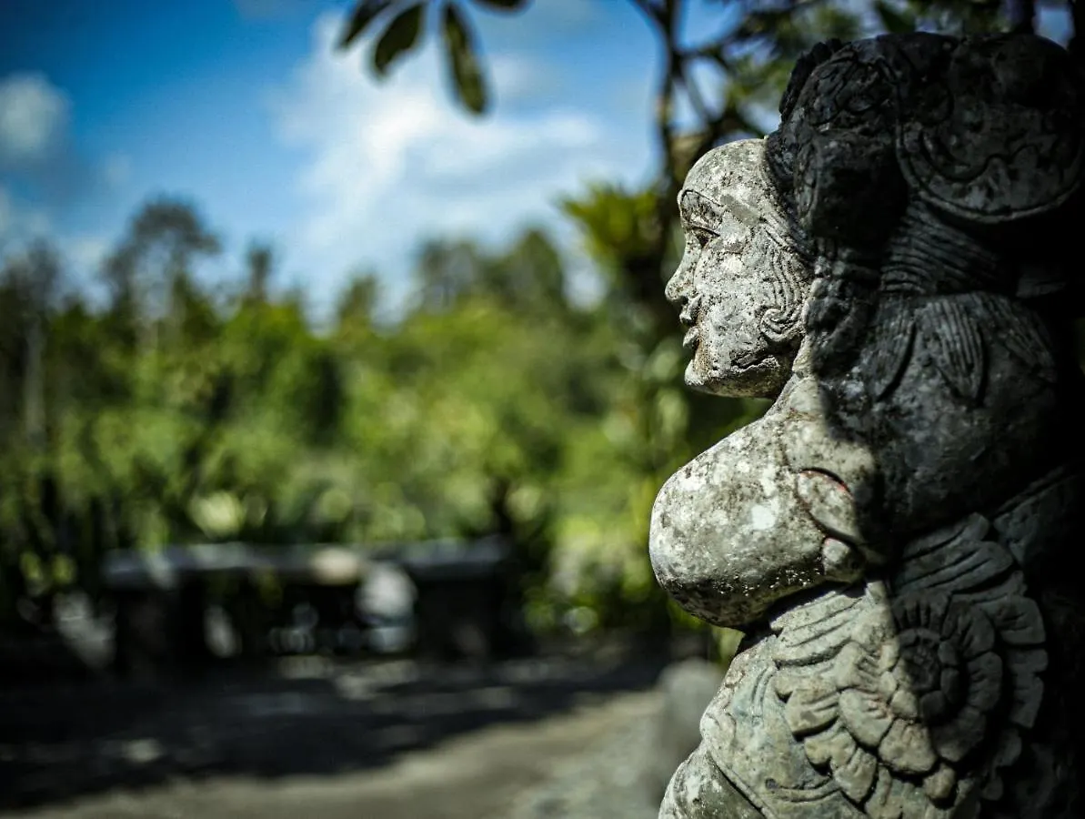 Angsoka Bungalow Ubud  Guest house