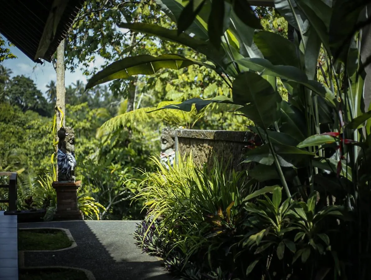 Guest house Angsoka Bungalow Ubud