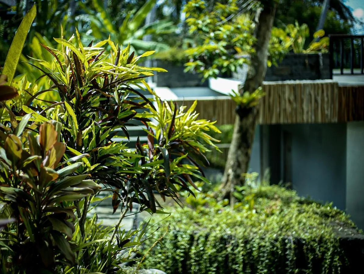 *** Guest house Angsoka Bungalow Ubud  Indonesia
