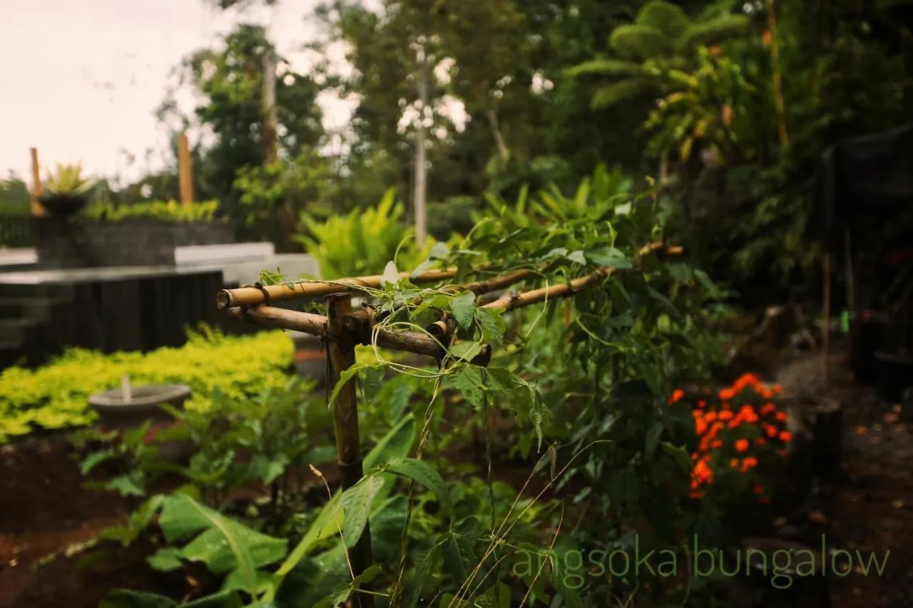 Angsoka Bungalow Ubud  Ubud (Bali)